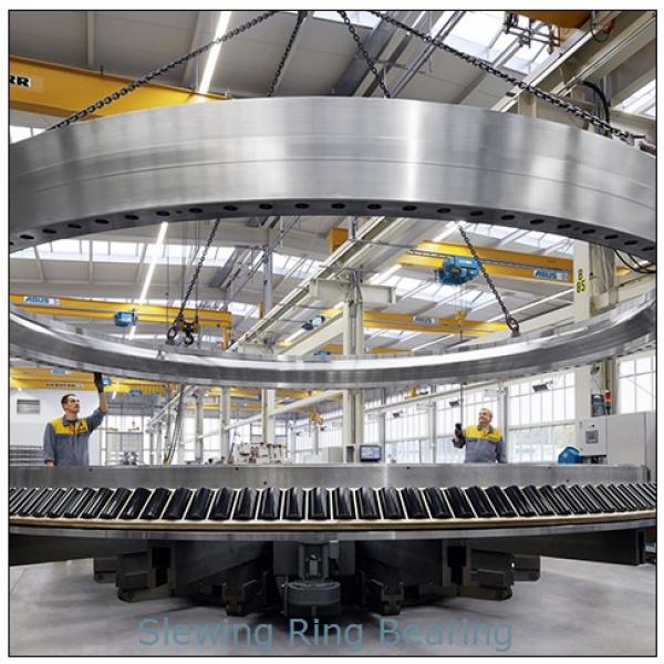 three row roller slewing bearing for Food and Beverage Machineries #1 image