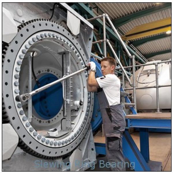 Large Diameter Industrial Turntable Bearings for Packaging Machines #1 image